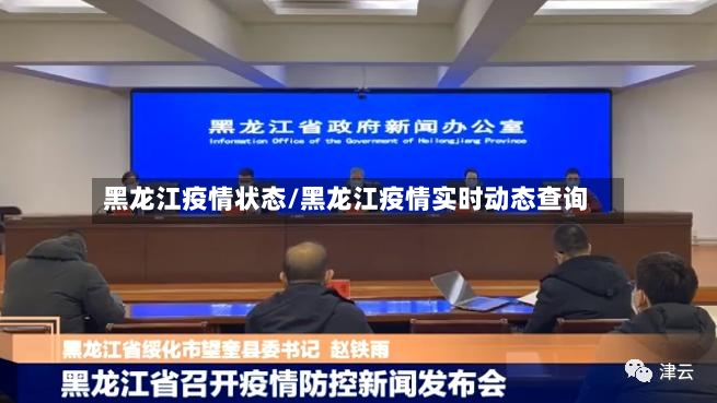 黑龙江疫情状态/黑龙江疫情实时动态查询