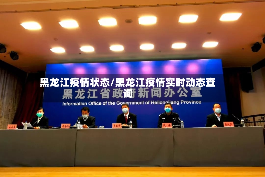 黑龙江疫情状态/黑龙江疫情实时动态查询-第3张图片