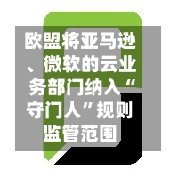 欧盟将亚马逊	、微软的云业务部门纳入“守门人”规则监管范围-第2张图片