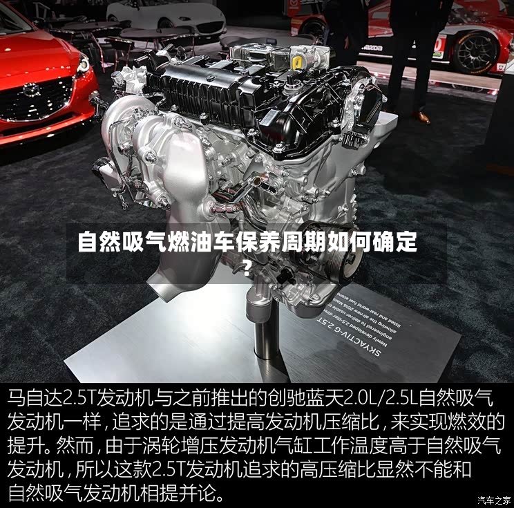 自然吸气燃油车保养周期如何确定？-第3张图片