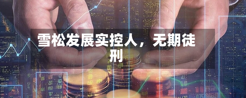 雪松发展实控人，无期徒刑-第2张图片