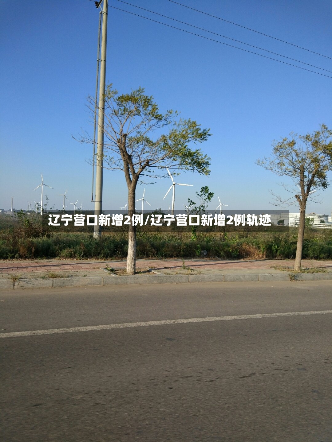 辽宁营口新增2例/辽宁营口新增2例轨迹-第2张图片