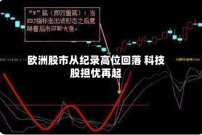 欧洲股市从纪录高位回落 科技股担忧再起-第3张图片