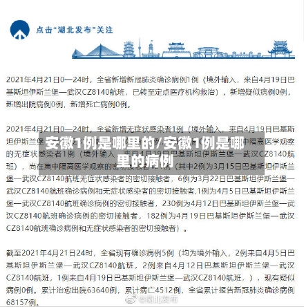 安徽1例是哪里的/安徽1例是哪里的病例-第2张图片