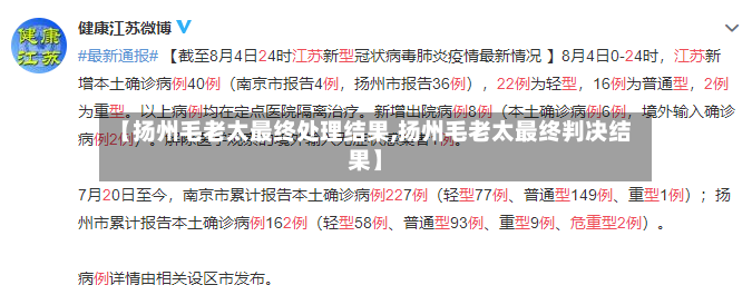 【扬州毛老太最终处理结果,扬州毛老太最终判决结果】