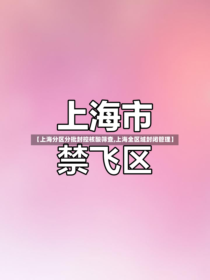 【上海分区分批封控核酸筛查,上海全区域封闭管理】-第2张图片