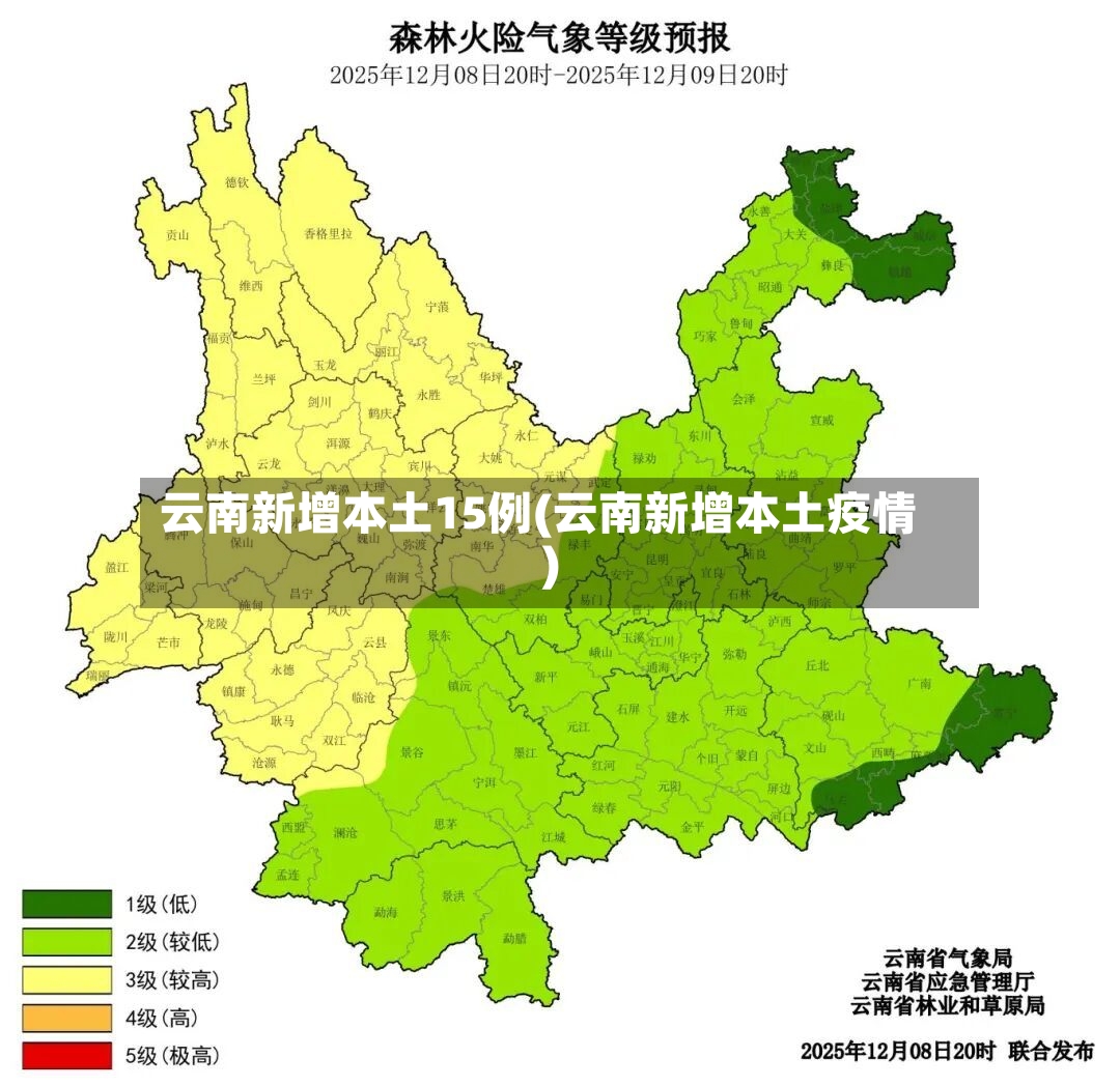 云南新增本土15例(云南新增本土疫情)