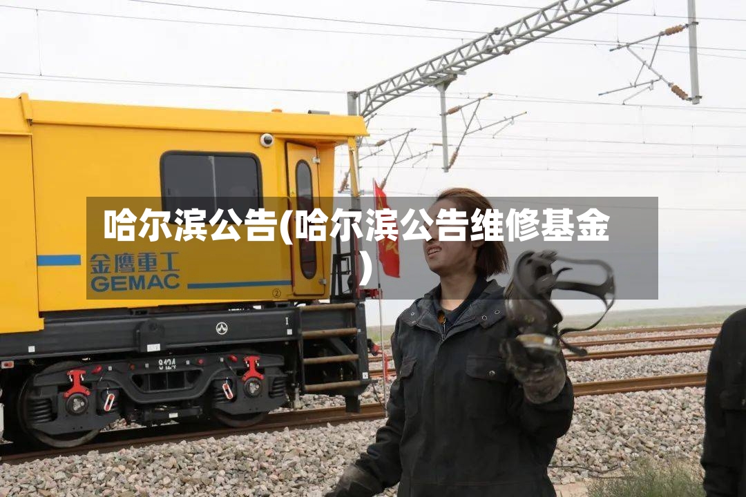 哈尔滨公告(哈尔滨公告维修基金)-第3张图片