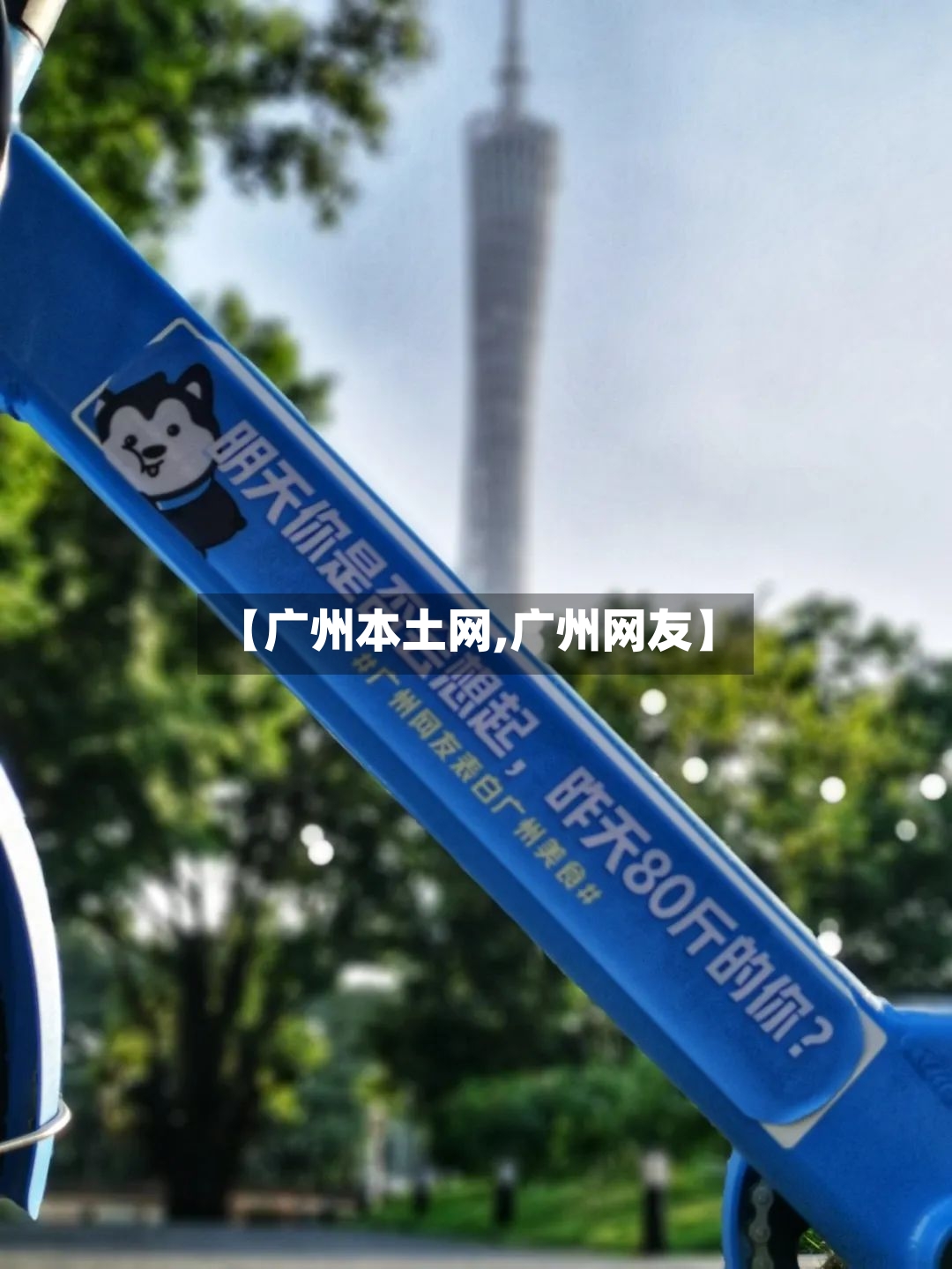 【广州本土网,广州网友】