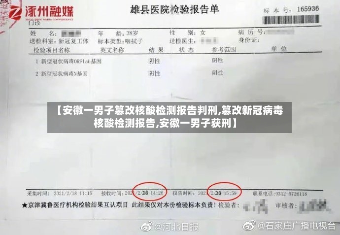 【安徽一男子篡改核酸检测报告判刑,篡改新冠病毒核酸检测报告,安徽一男子获刑】
