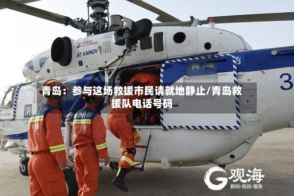 青岛:参与这场救援市民请就地静止/青岛救援队电话号码-第3张图片