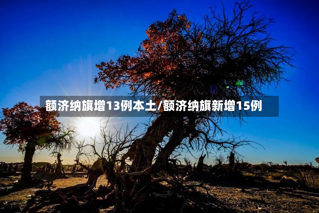 额济纳旗增13例本土/额济纳旗新增15例-第2张图片