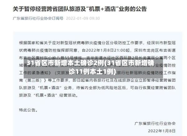 31省区市新增本土确诊2例(31省区市新增确诊11例本土1例)-第2张图片