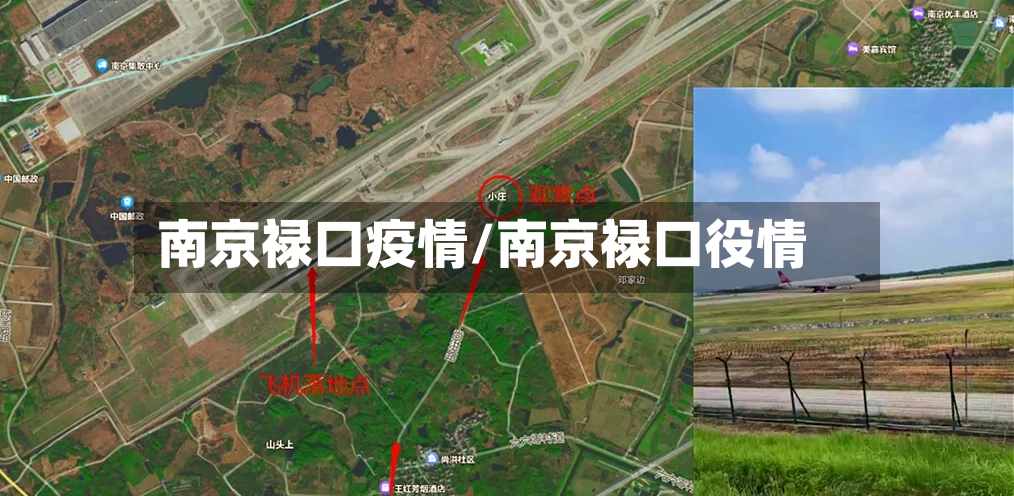 南京禄口疫情/南京禄口役情