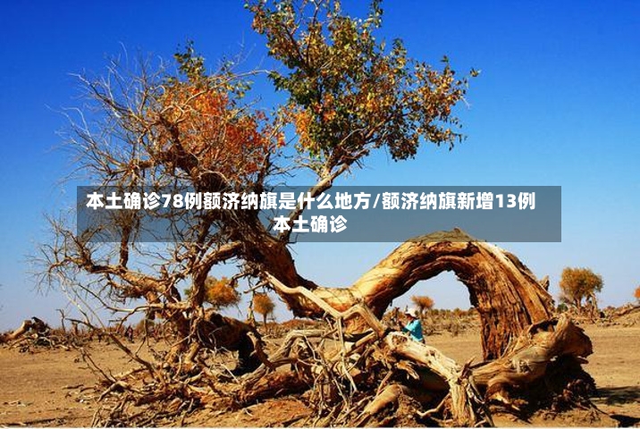 本土确诊78例额济纳旗是什么地方/额济纳旗新增13例本土确诊-第2张图片