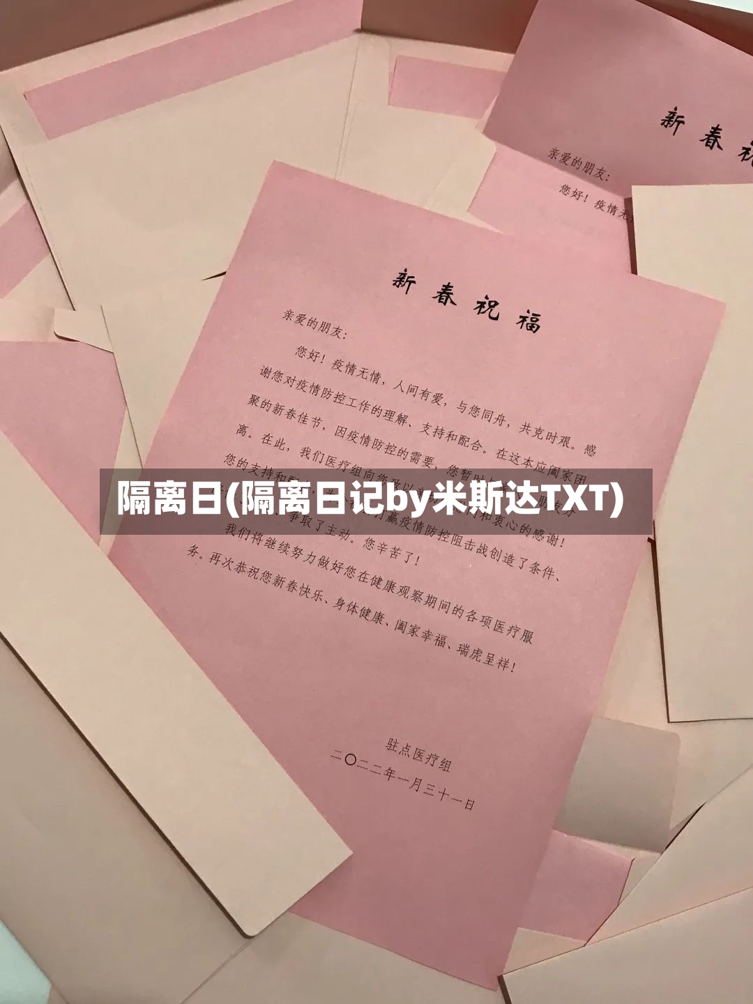 隔离日(隔离日记by米斯达TXT)