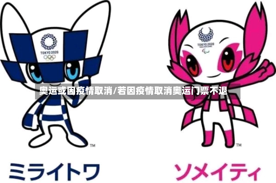 奥运或因疫情取消/若因疫情取消奥运门票不退-第2张图片