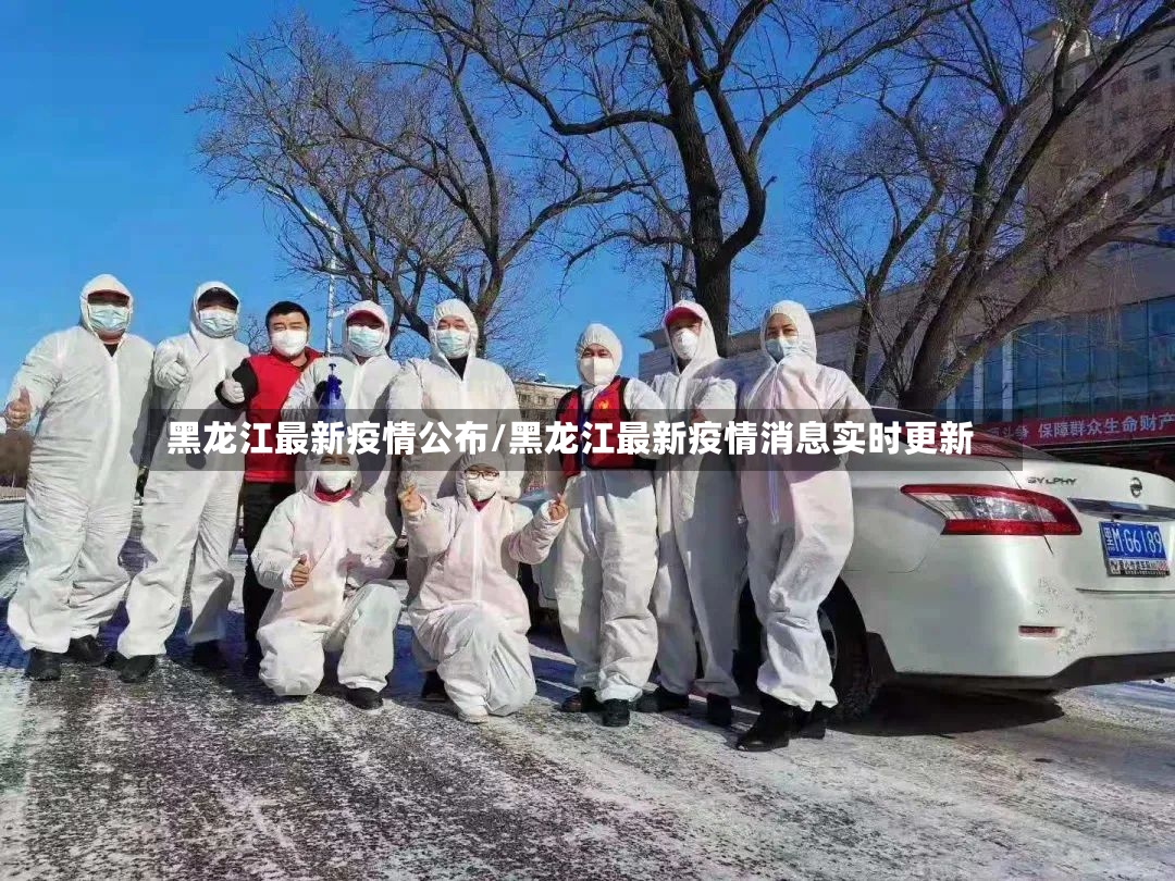 黑龙江最新疫情公布/黑龙江最新疫情消息实时更新-第3张图片