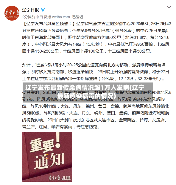 辽宁发布最新传染病情况超1万人发病(辽宁最新感染病毒的情况)-第3张图片