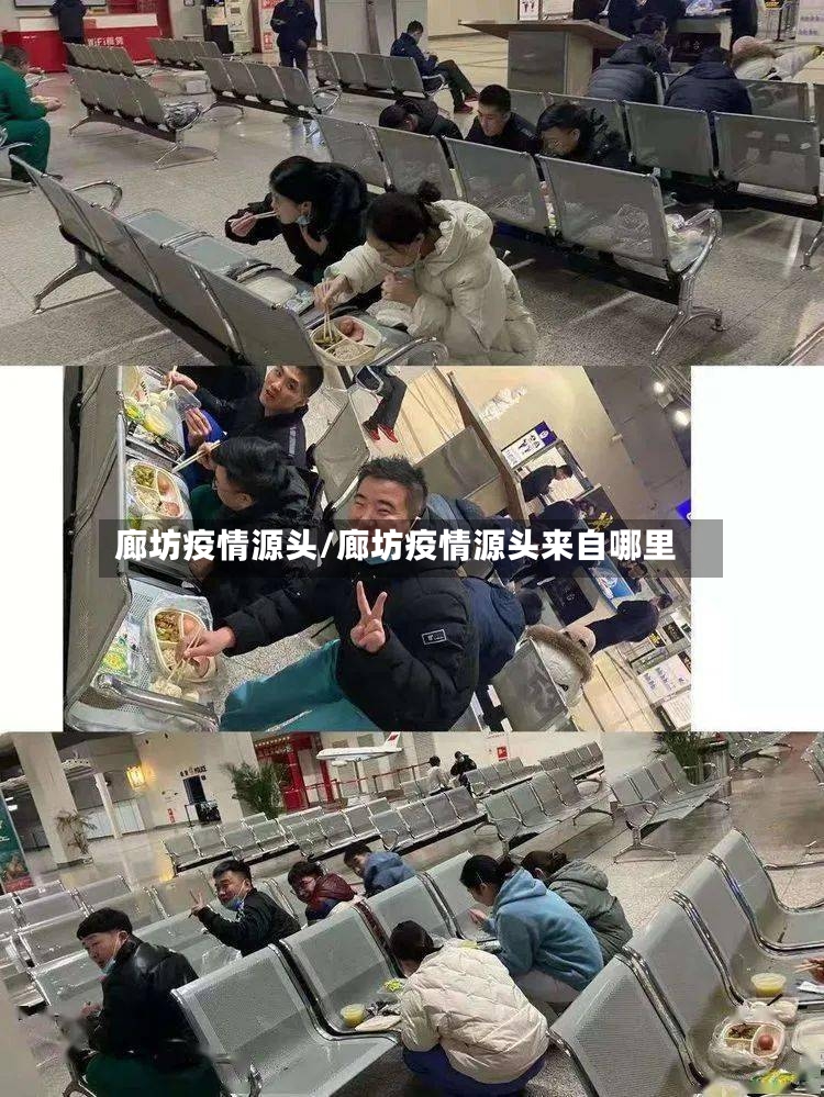廊坊疫情源头/廊坊疫情源头来自哪里