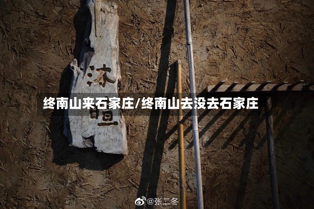 终南山来石家庄/终南山去没去石家庄-第2张图片