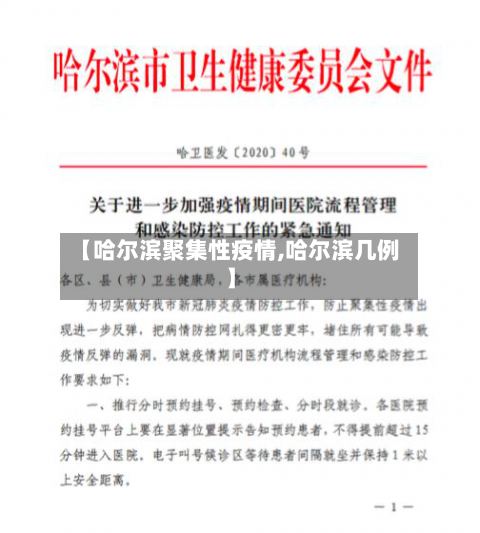 【哈尔滨聚集性疫情,哈尔滨几例】-第2张图片
