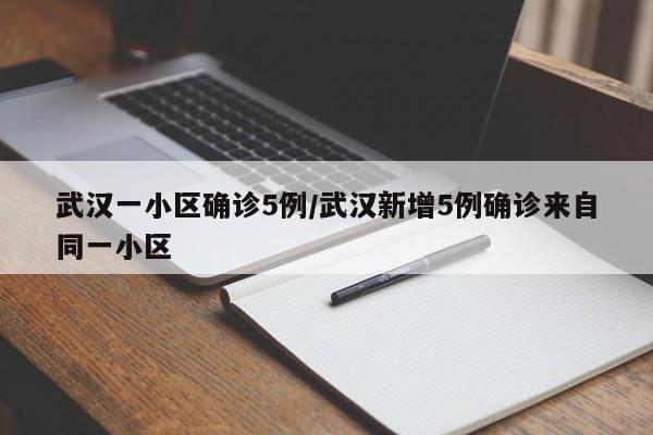 武汉一小区确诊5例/武汉新增5例确诊来自同一小区